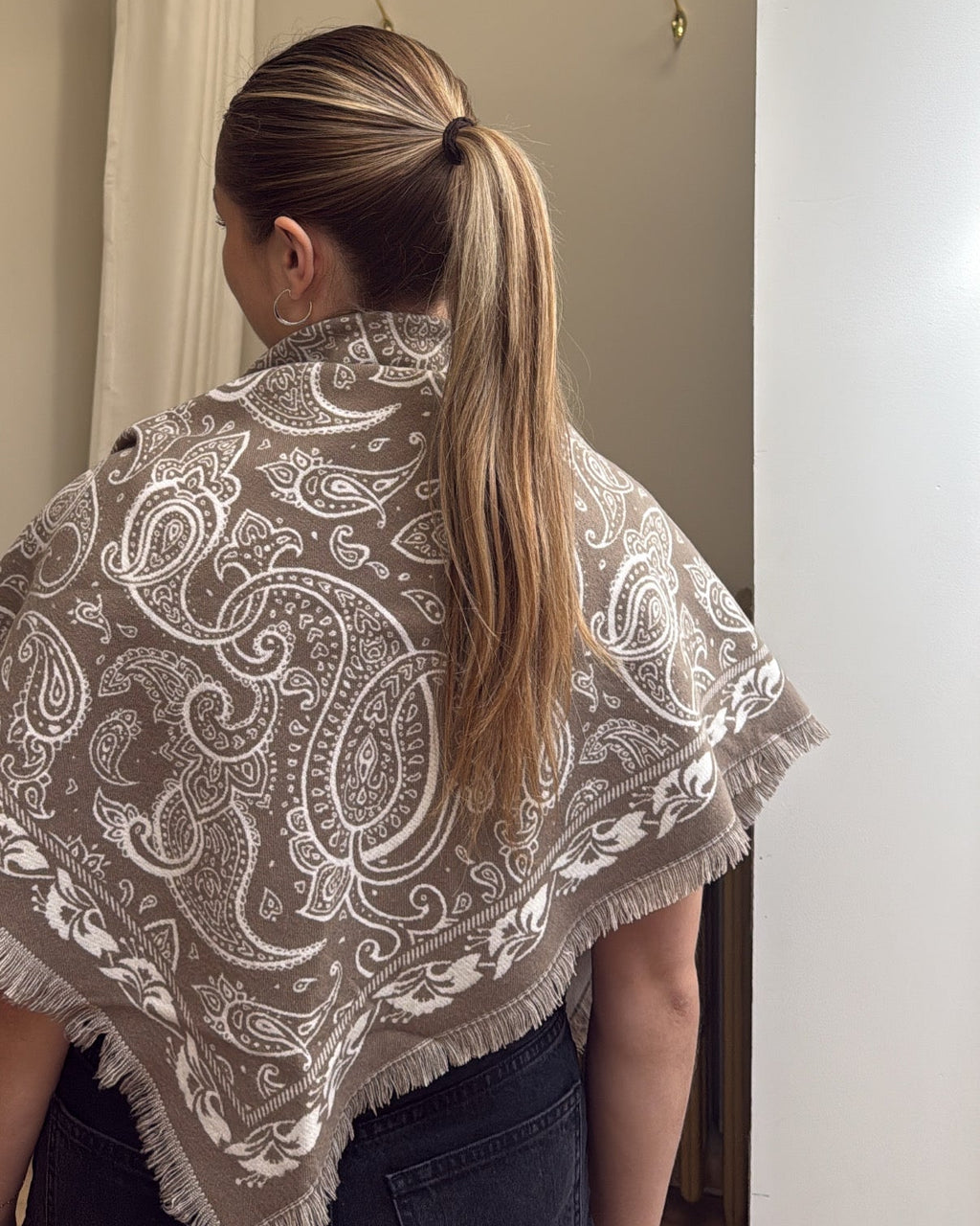Cest Moi Triangle Scarf In Brown Paisley