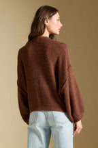 Saltwater Luxe Aden Sweater In Chocolate