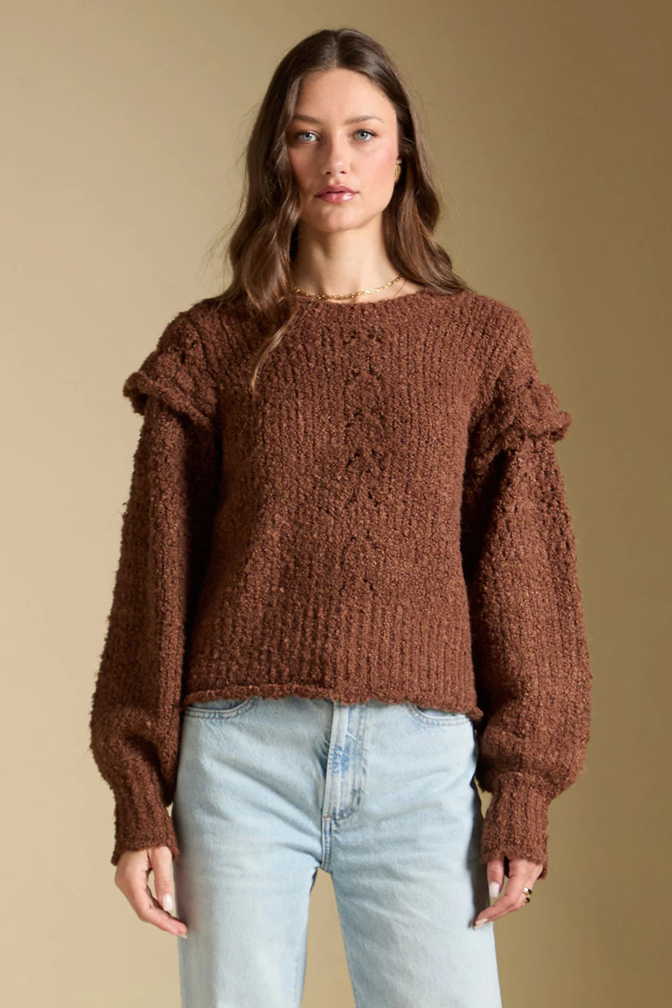 Saltwater Luxe Jeri Sweater In Chocolate