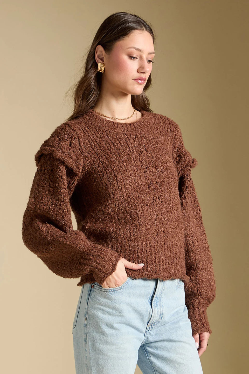Saltwater Luxe Jeri Sweater In Chocolate